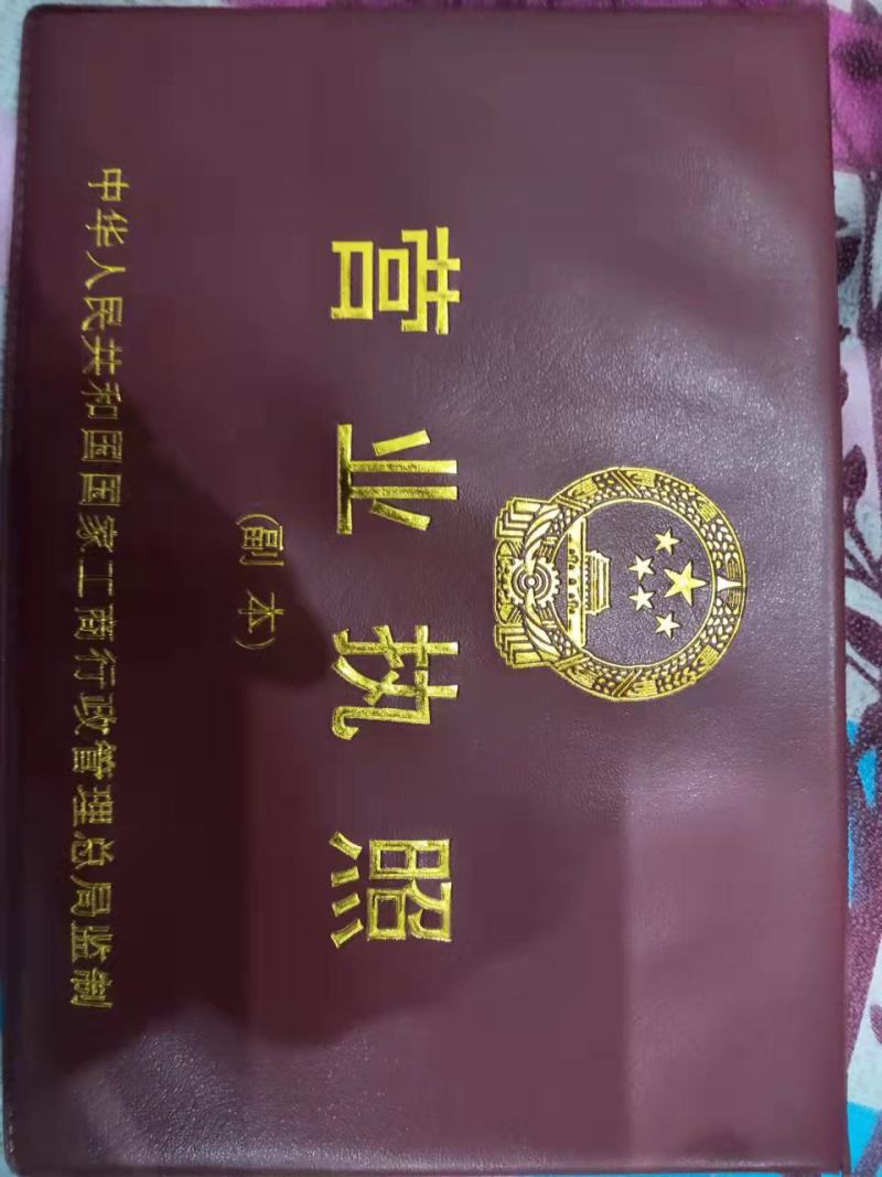 河南梨树苗嫁接秋月，酥翠，晚秋精心嫁接定植栽培见果采接穗