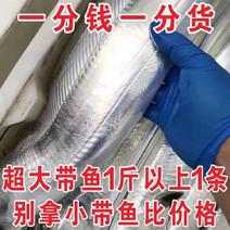 【产地销】大带鱼东海带鱼新鲜鲜活速冻带鱼海鲜多规格包邮
