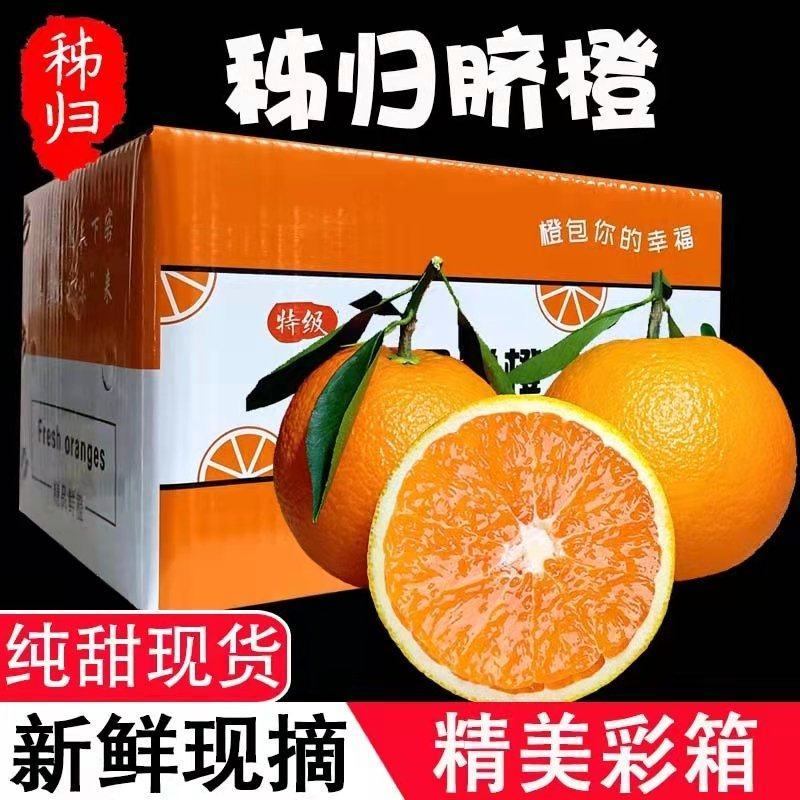 秭归脐橙产地直销看货论价保质保量支持发货
