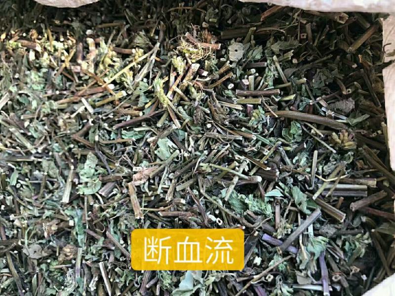 断血流干货常年经营各种中药材