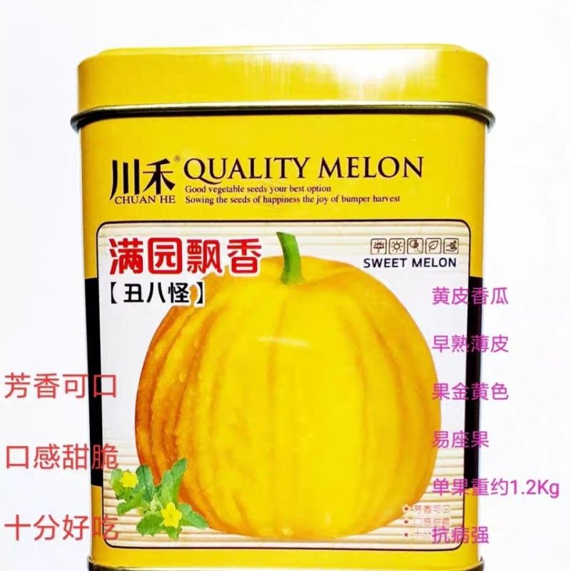 川禾满园飘香丑八怪甜瓜种子，10克