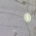 王莲大王莲热带王莲白洋淀瑞荷水生植物基地自产自销