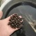 王莲大王莲热带王莲白洋淀瑞荷水生植物基地自产自销