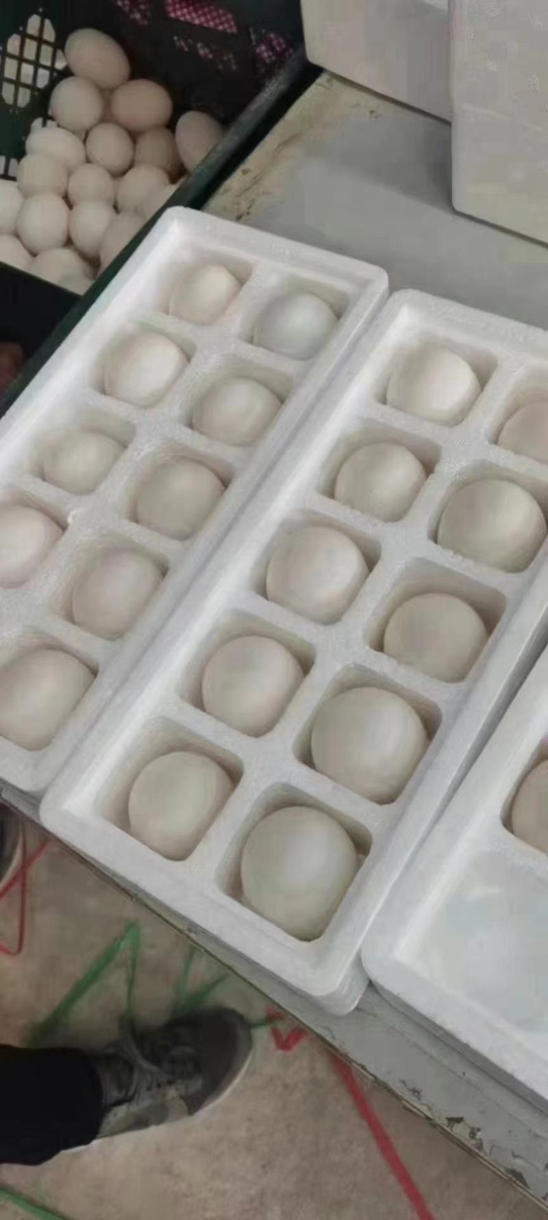 散养小鹅蛋大量有货欢迎骚扰现装现发！量大的老板求骚扰
