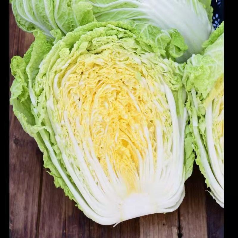 大白菜产地直销，看货论价，保质保量欢迎订购支持发货