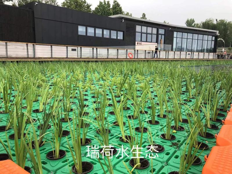 人工浮岛种植浮床组装生态浮岛景观净化水质