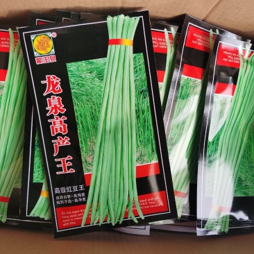 豇豆种子龙泉抗病强高产王纤维少耐老化翠绿厂家直销