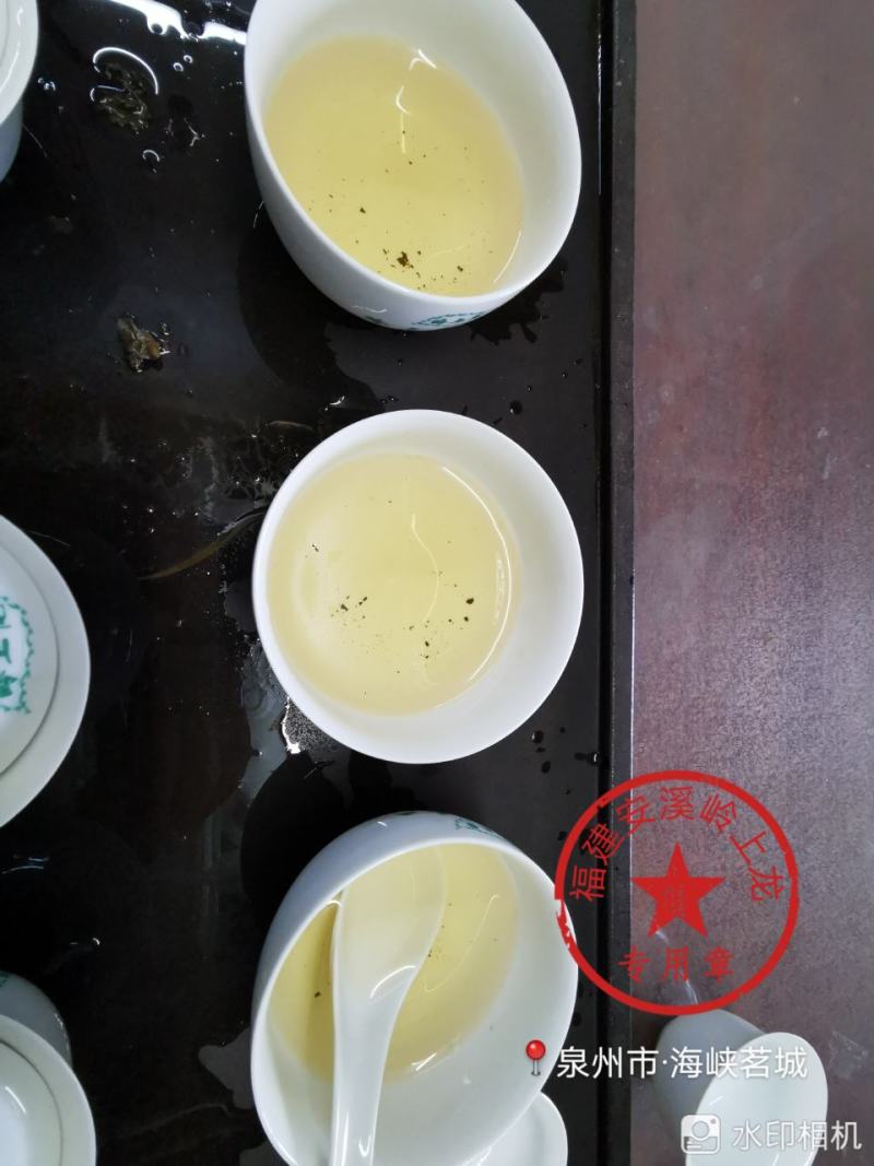 岭上龙炭焙安溪铁观音浓香型茶叶口感好耐泡全家人的茶叶