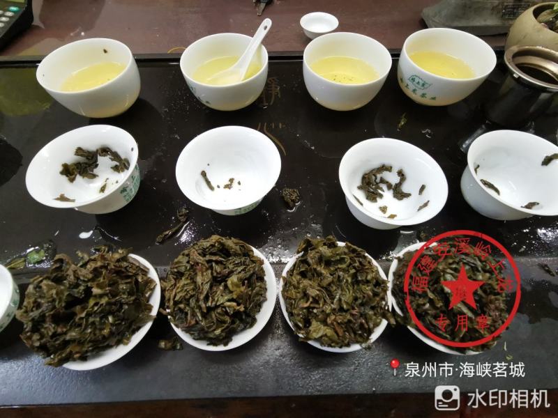 岭上龙炭焙安溪铁观音浓香型茶叶口感好耐泡全家人的茶叶