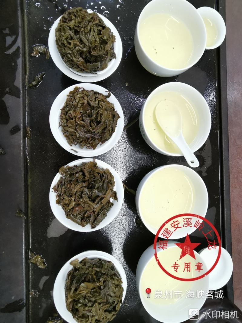 岭上龙炭焙安溪铁观音浓香型茶叶口感好耐泡全家人的茶叶