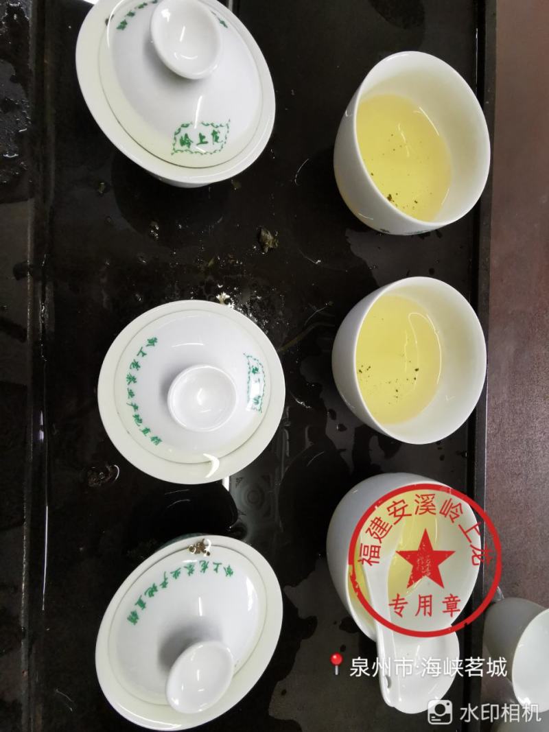岭上龙炭焙安溪铁观音浓香型茶叶口感好耐泡全家人的茶叶