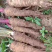 白芷，白芷片，药典标准片，无硫货，种植基地，源头品质