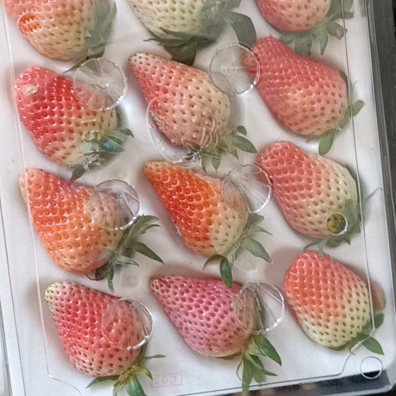 双流区草莓