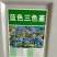 三色堇角堇花种种子花籽秋播秋冬季开花阳台庭院盆栽花籽室外