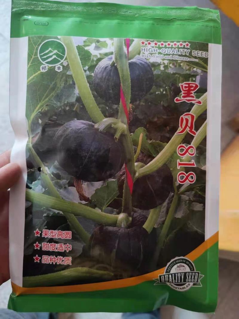 南瓜种子贝贝南瓜种子成活发芽率高长年有货