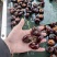 马蹄荸荠鲜果水洗蹄子社区团购批发毛马蹄水果蔬菜当季新