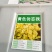 勿忘草花种子宿根多年生勿忘我种子盆栽耐寒易种花卉种子