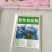 勿忘草花种子宿根多年生勿忘我种子盆栽耐寒易种花卉种子