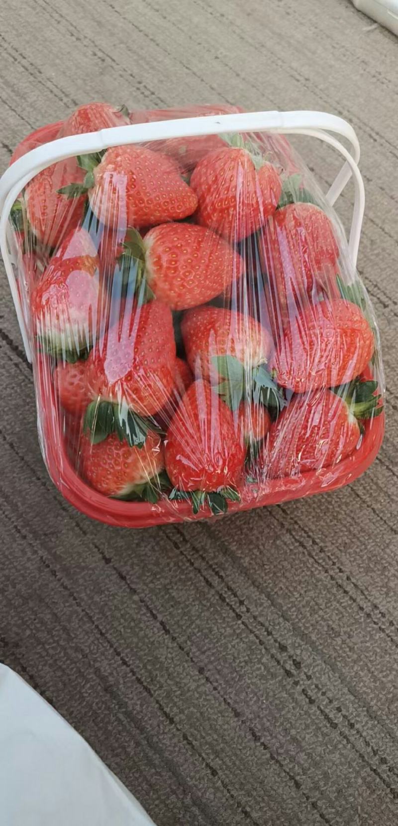 宁夏银川新鲜奶油草莓