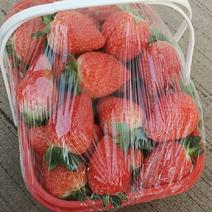 宁夏银川新鲜奶油草莓