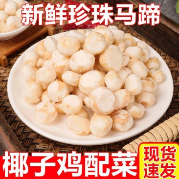 【产地销】珍珠马蹄500g新鲜去皮削皮蔬菜荸荠整箱包邮