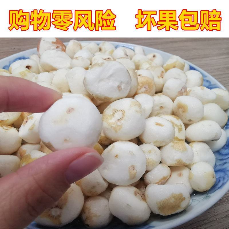 【产地销】珍珠马蹄500g新鲜去皮削皮蔬菜荸荠整箱包邮