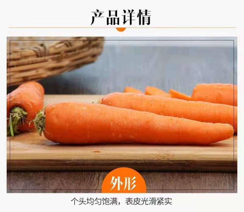特惠新鲜三红胡萝卜新鲜蔬菜沙地水果红萝卜现挖农家自种包邮