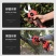 电动剪树枝剪刀片果树修枝剪充电强力园林锂电树枝剪粗枝剪子