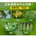 沃丰素多营养叶面肥蔬菜花卉果树补充营养复壮调节生长