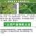 沃丰素多营养叶面肥蔬菜花卉果树补充营养复壮调节生长