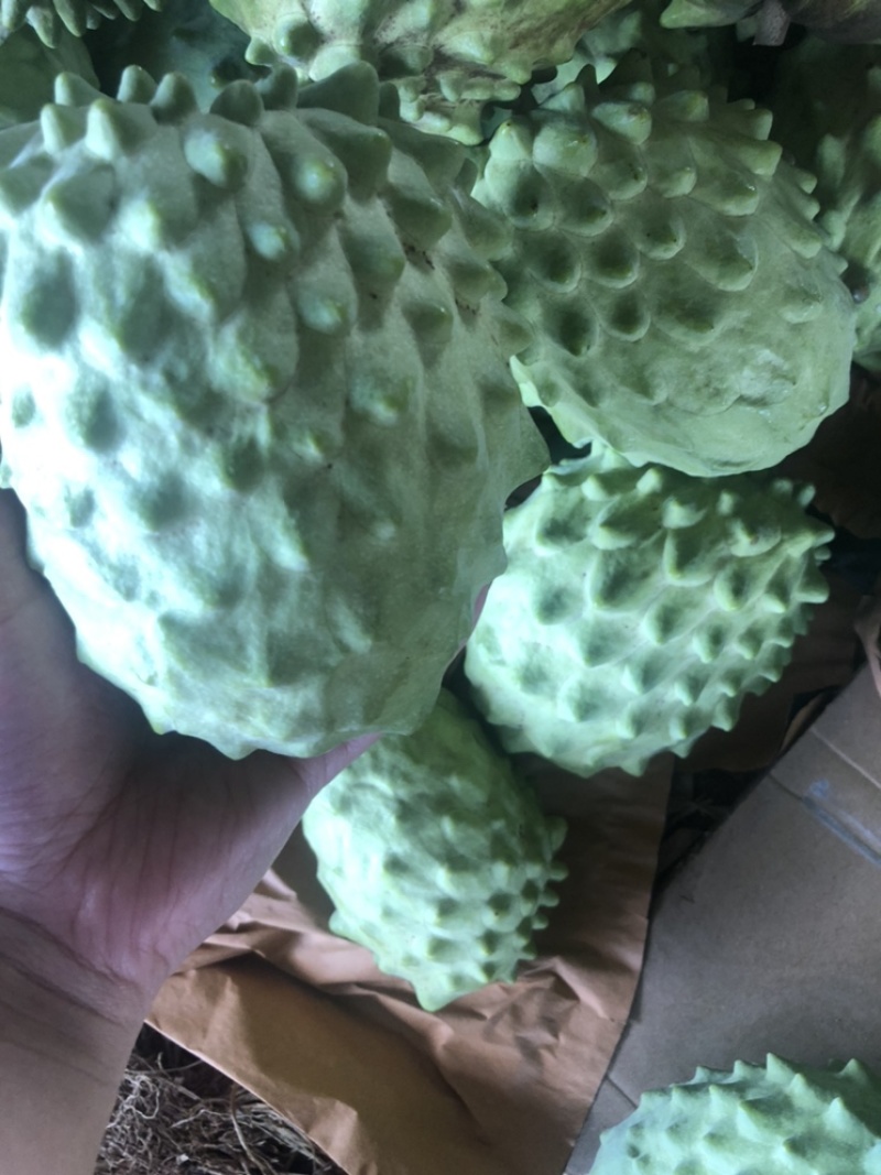 一天发4吨，一级精品果多多，花果也有