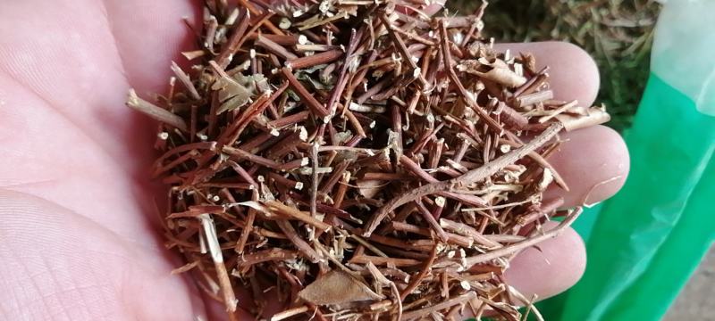 鸡骨草干货中药材农副产品不满意可退换货