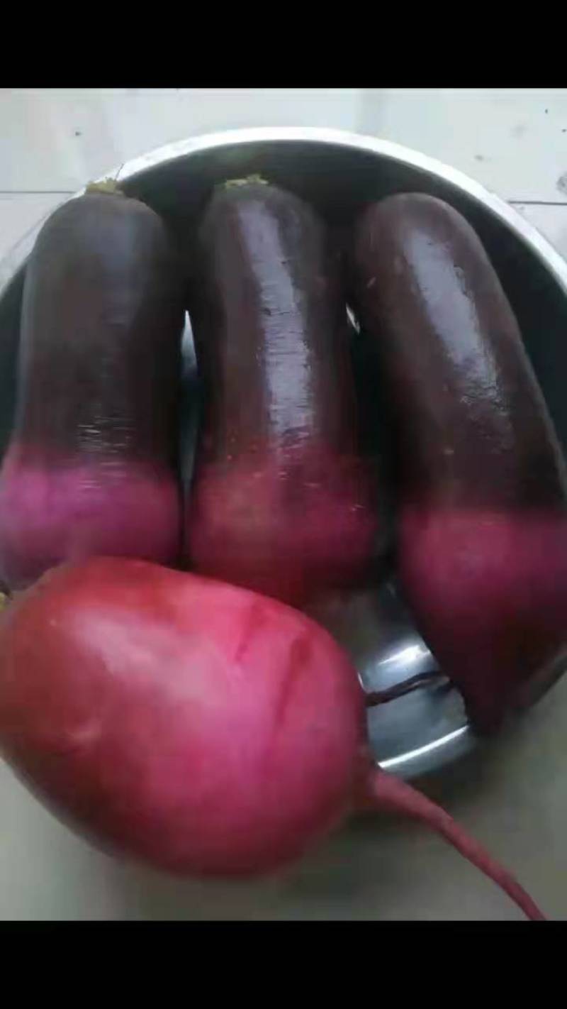 精品冰激凌冰糖心水果萝卜，高品质，高质量大量供应中