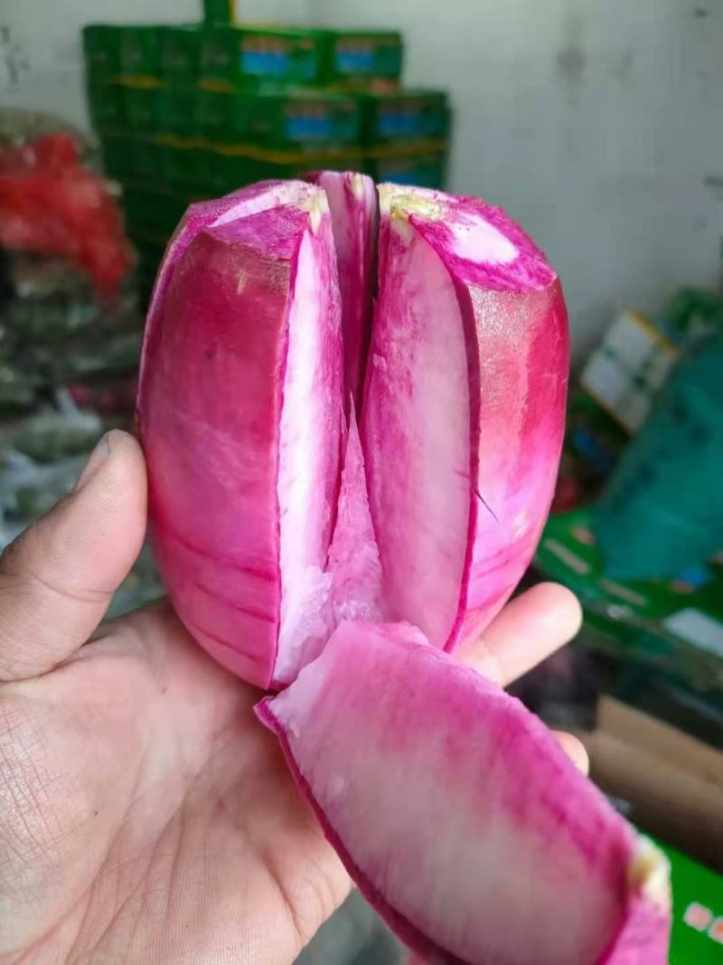 精品冰激凌冰糖心水果萝卜，高品质，高质量大量供应中