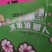 精品冰激凌冰糖心水果萝卜，高品质，高质量大量供应中