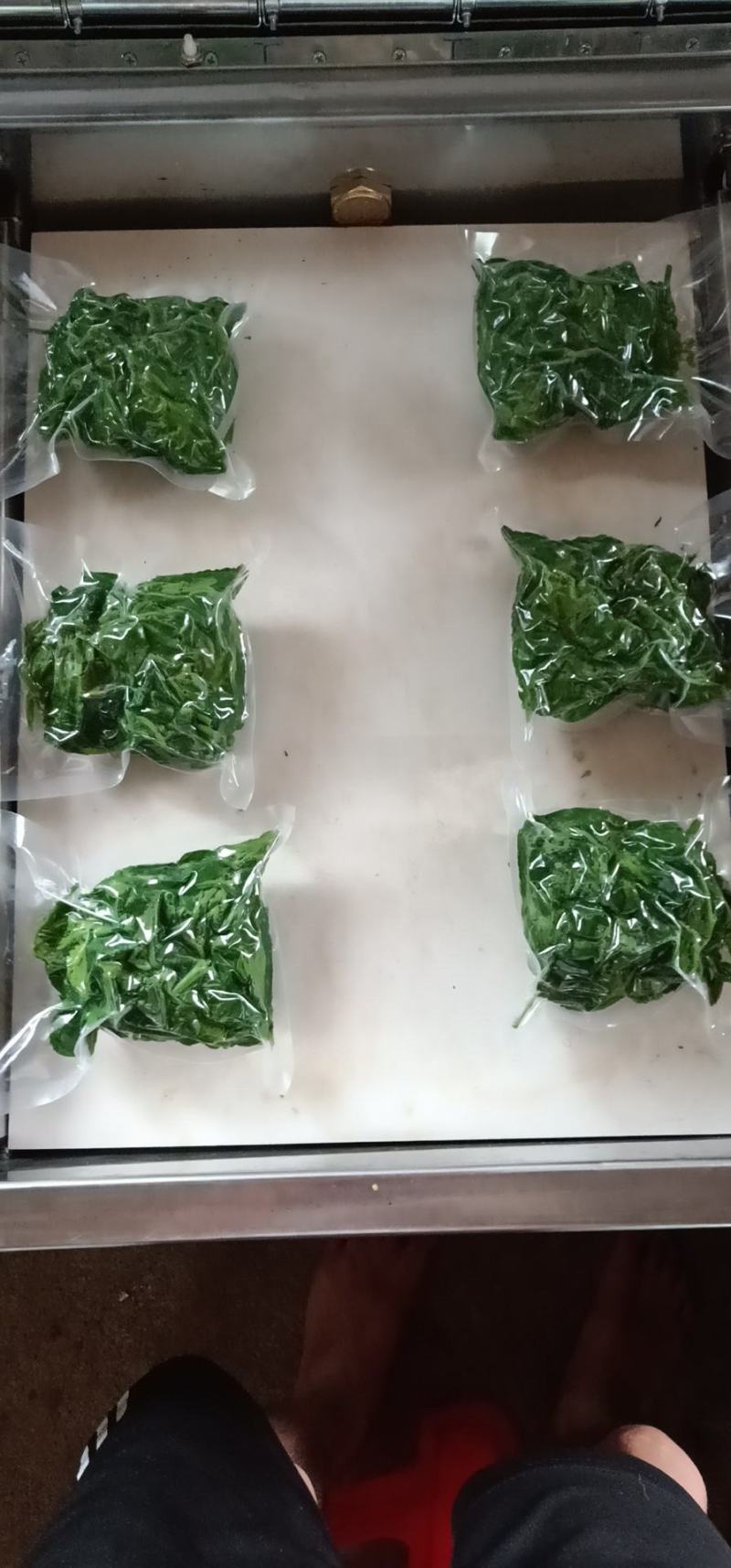 广东桑芽菜，250克一包，一件120包，货源充足，量大优