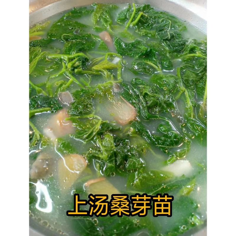 广东桑芽菜，250克一包，一件120包，货源充足，量大优