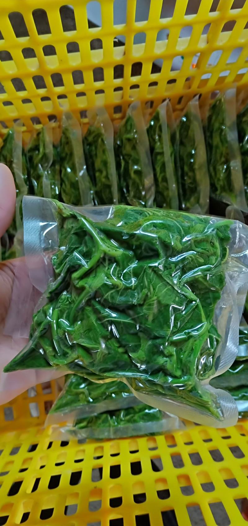 广东桑芽菜，250克一包，一件120包，货源充足，量大优