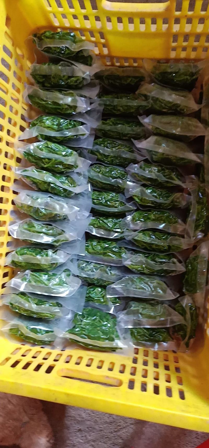 广东桑芽菜，250克一包，一件120包，货源充足，量大优