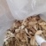 鸡腿菇