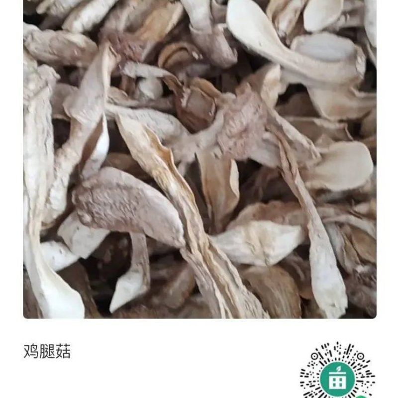 鸡腿菇
