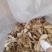 鸡腿菇