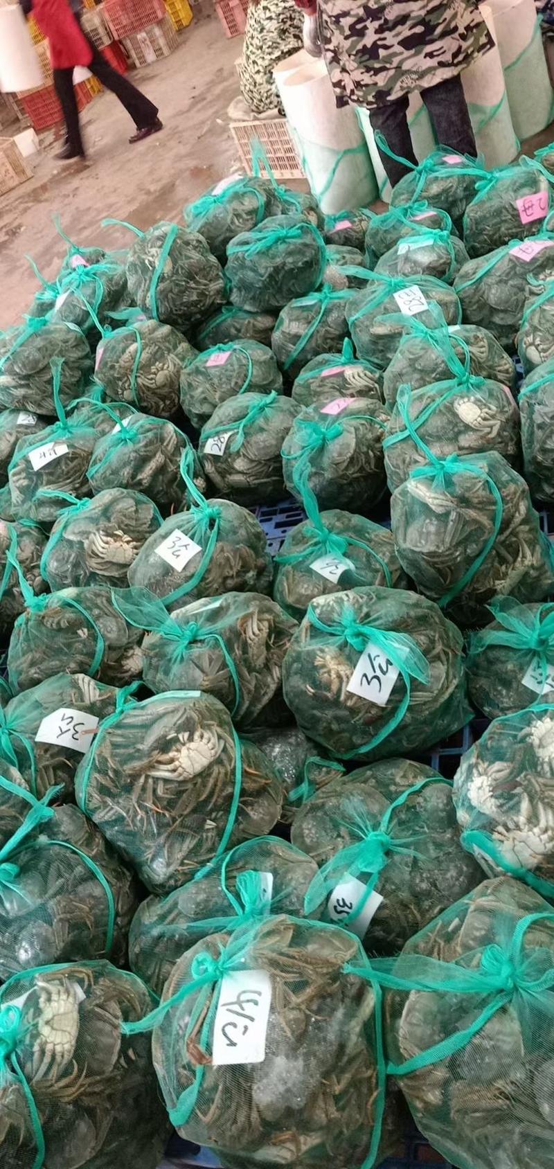 洪湖市琳馨水产精品大闸蟹自产自销个个都是青壳白底欢迎采购