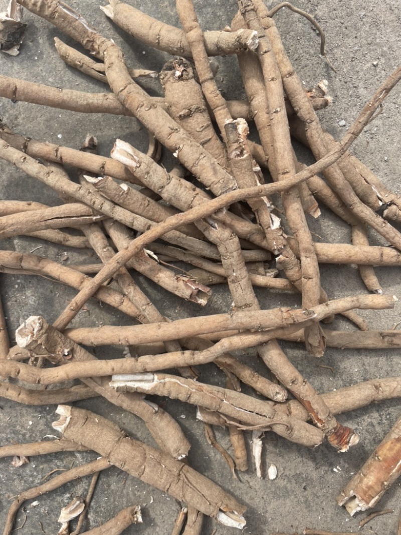 牡丹皮统货黑牡丹皮，品质好，粉充足，黑，红都有