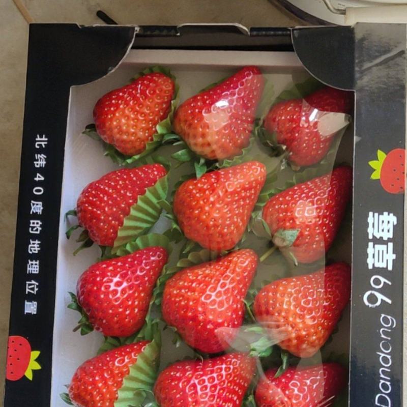 丹东九九草莓