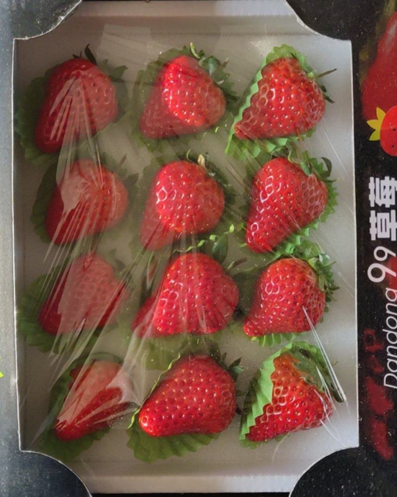 丹东九九草莓