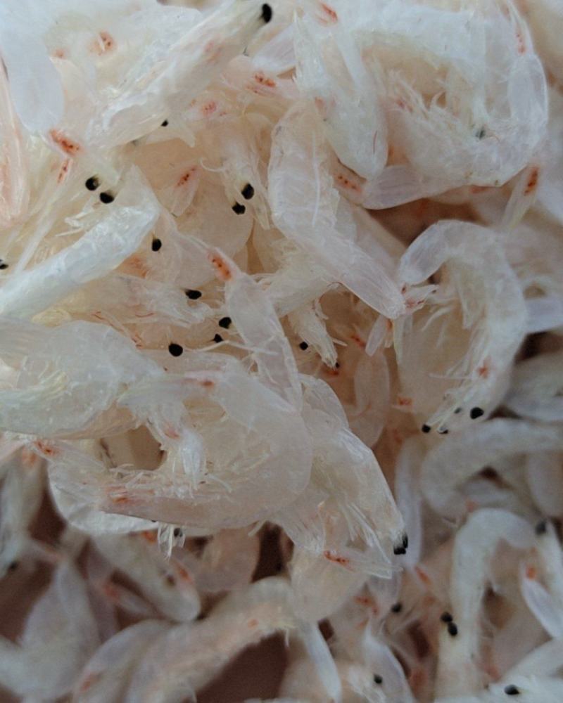 无盐淡干虾皮，淡干无盐虾皮有大，中，小号，口感新鲜。