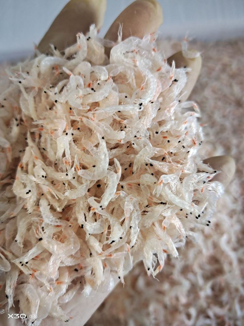无盐淡干虾皮干度好一点不咸！大中小都有当季新货一手货源
