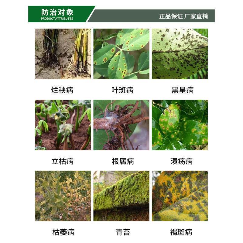 80%乙蒜素乳油立枯病枯萎病黄萎病烂秧病蔓枯病软腐病青枯