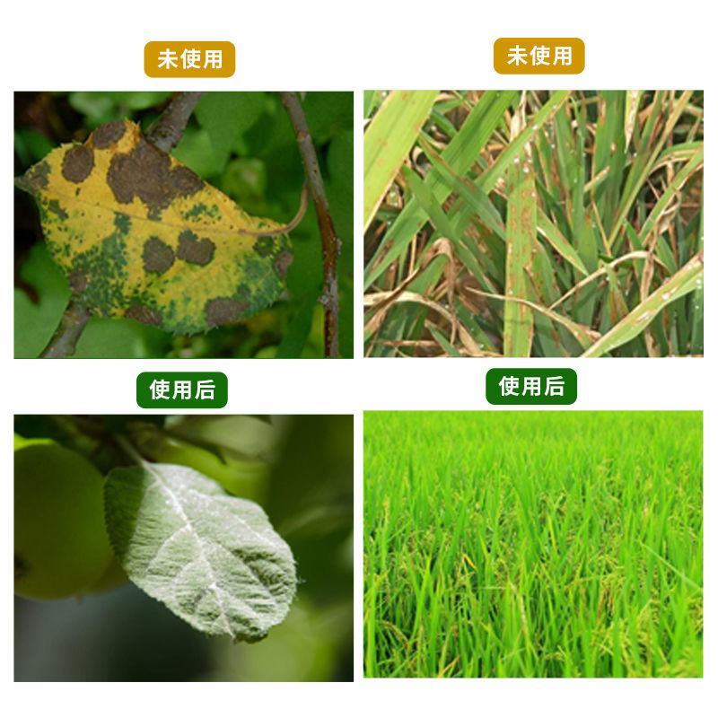 80%乙蒜素乳油立枯病枯萎病黄萎病烂秧病蔓枯病软腐病青枯
